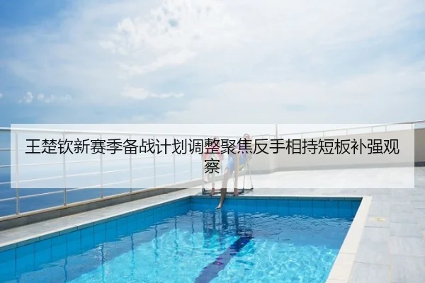 王楚钦新赛季备战计划调整聚焦反手相持短板补强观察